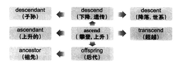 20196´W(xu)ӢZ(j)~RDӛascend