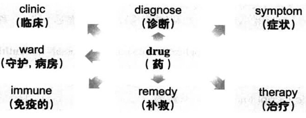 20196´W(xu)ӢZ(y)(j)~RDӛdrug