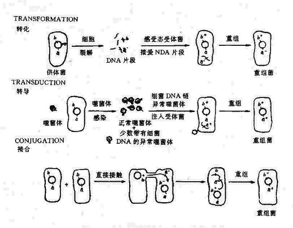 (x)gĻD(zhun)D(zhun)D(zhun)(do)Ӻ