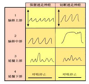 2014oW(xu)o(do)И(jng)ϵy(tng){(dio)ؙC