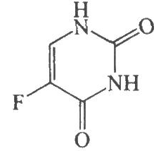 W(wng)У2016(zh)I(y)ˎˎW(xu)֪Rһ(qun)