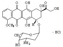 W(wng)У2016(zh)I(y)ˎˎW(xu)֪Rһ(qun)