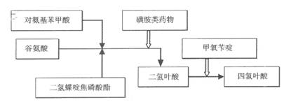 2019(zh)I(y)ˎˎﻯW֪Rc(1)