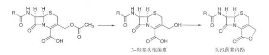 2019(zh)I(y)ˎˎﻯW(xu)(f)(x)֪R(sh)c(din)(6)