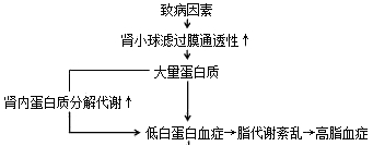 2019(j)o(h)o(h)W(xu)(f)(x)c(din)(ھ)