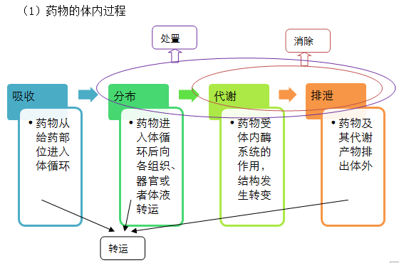 2019(zh)I(y)ˎˎW(xu)I(y)֪Rһ֪Rc(21)