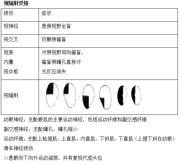 2019R(zh)I(y)t(y)ϵy(tng)lc(4)