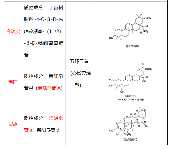 2021(zh)I(y)ˎˎһˎW(xu)c(din)cw