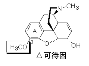 2021(zh)I(y)ˎˎһc(din)(zhn)ˎY(ji)(gu)c