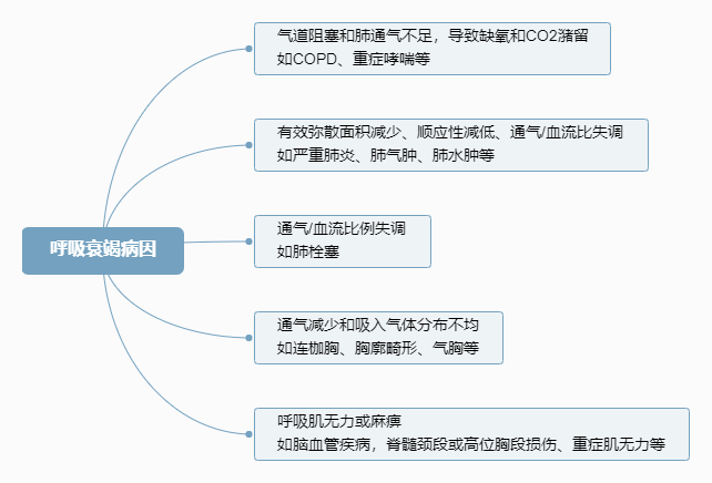 2022o(h)俼֪R(sh)c(din)˥߲