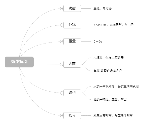 2022o(h)俼֪Rcѳ