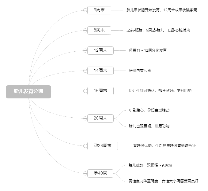 2022o俼֪Rc̥l(f)