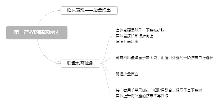 2022o俼֪Rca̵R^