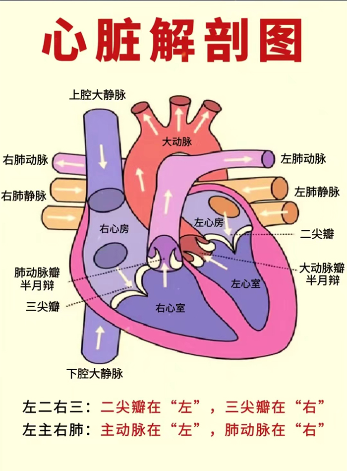 2025oԇ俼֪RKʽY(ji)(gu)